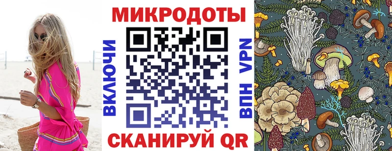 Купить закладки  Нижняя Салда  Псилоцибиновые грибы прущие грибы 