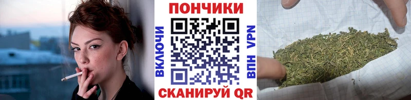 Каннабис ГИДРОПОН Нижняя Салда